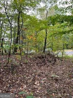 257 Andes RDG Jasper, GA 30143