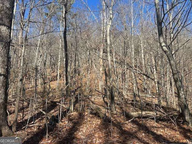 257 Andes RDG Jasper, GA 30143