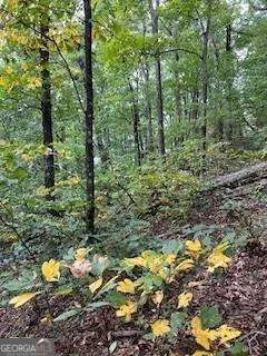 257 Andes RDG Jasper, GA 30143