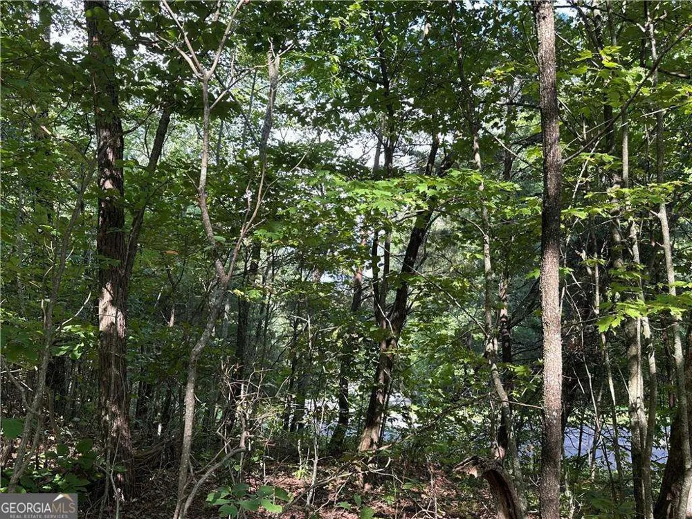257 Andes RDG Jasper, GA 30143