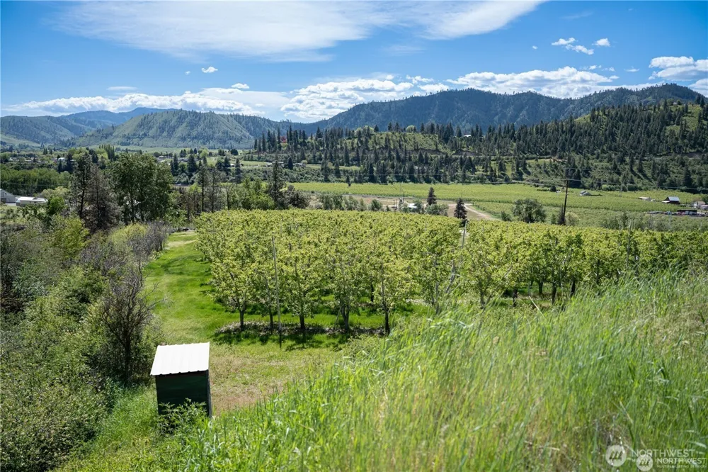 2 Sunburst Lane Cashmere, WA 98815