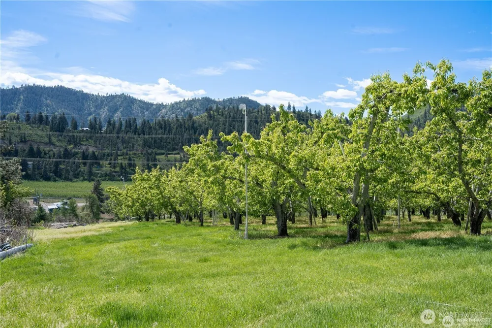2 Sunburst Lane Cashmere, WA 98815