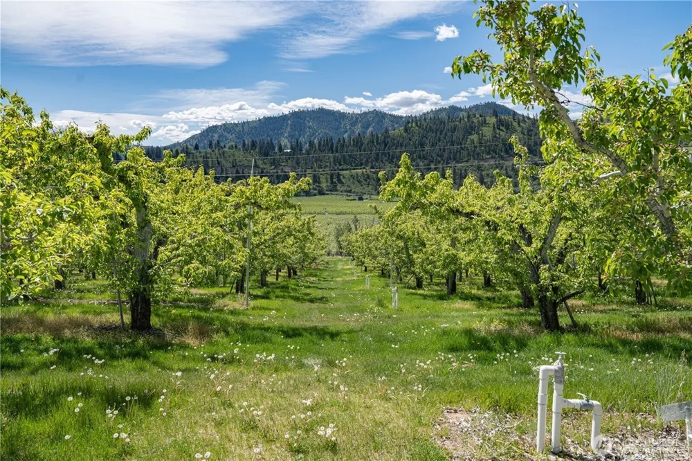 2 Sunburst Lane Cashmere, WA 98815