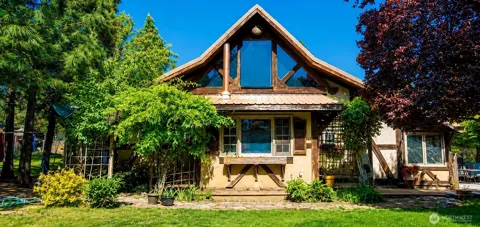 223 Goldenpine