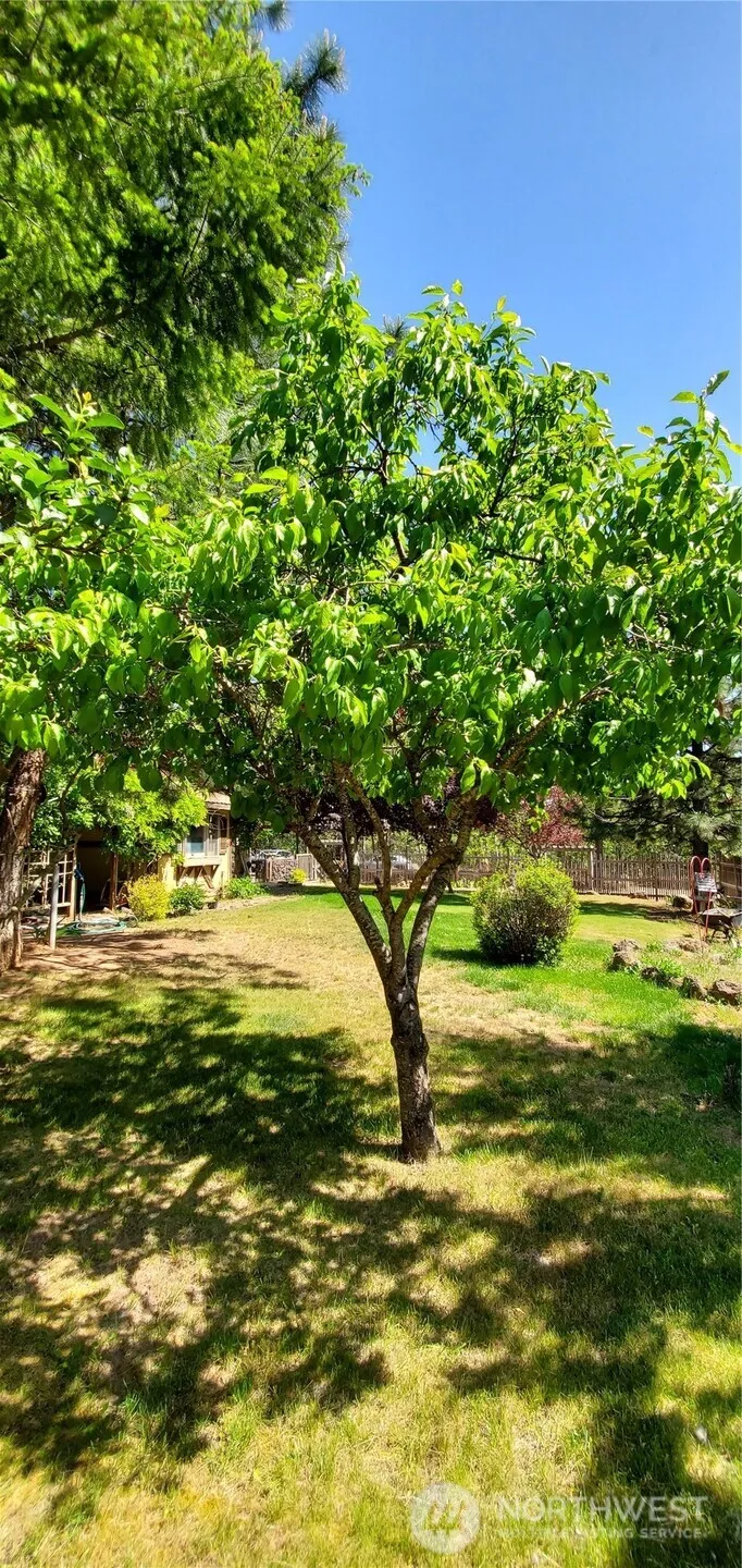 223 Goldenpine Goldendale, WA 98620