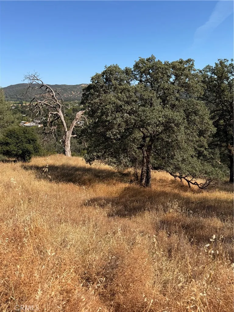 12657 Mountain View Drive Clearlake Oaks, CA 95423