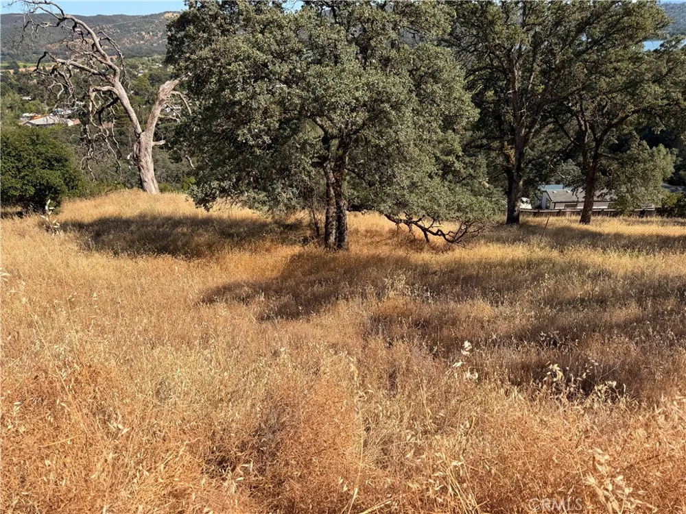 12657 Mountain View Drive Clearlake Oaks, CA 95423
