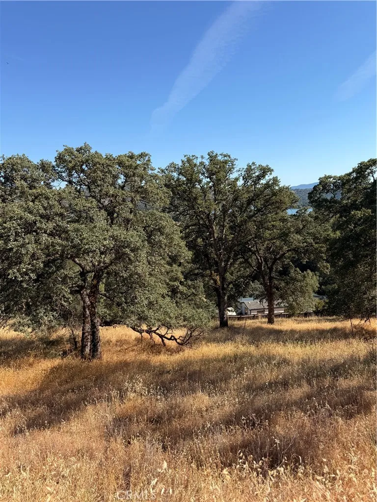 12657 Mountain View Drive Clearlake Oaks, CA 95423