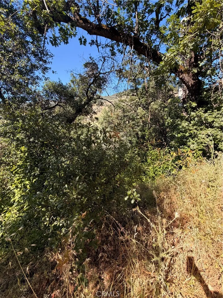 3403 Knob Nice, CA 95464