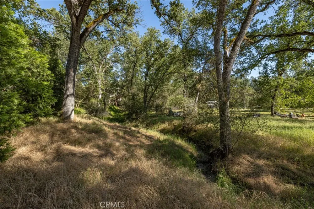 48866 Rock Point Road Oakhurst, CA 93644