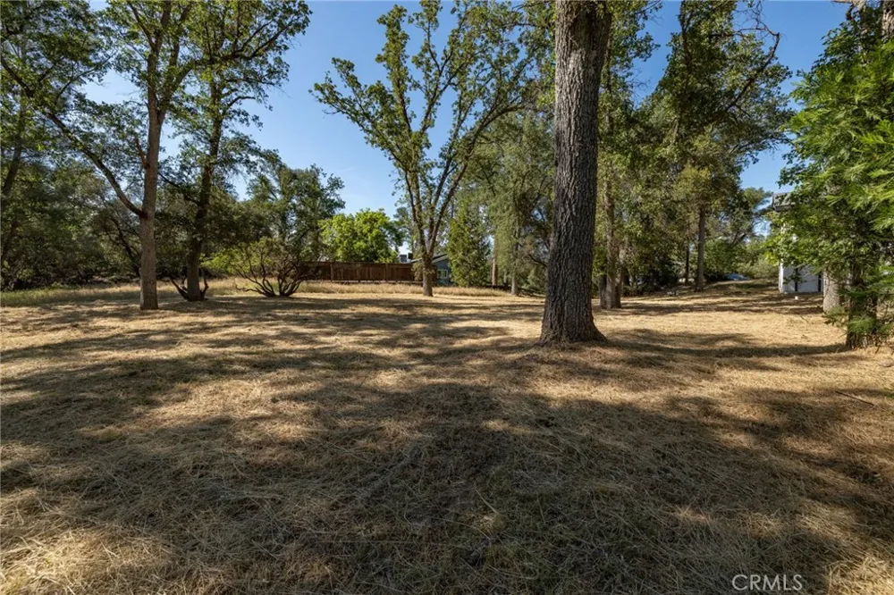 48866 Rock Point Road Oakhurst, CA 93644