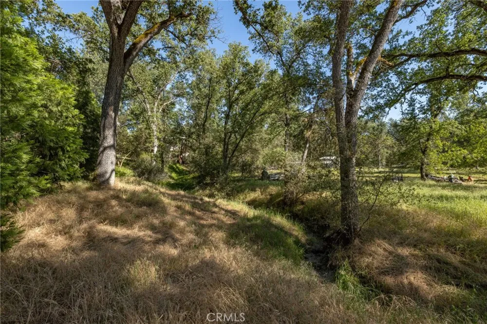 48866 Rock Point Road Oakhurst, CA 93644