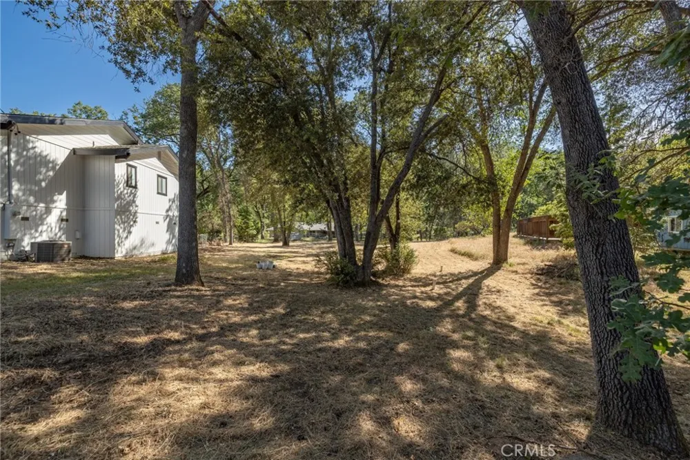 48866 Rock Point Road Oakhurst, CA 93644