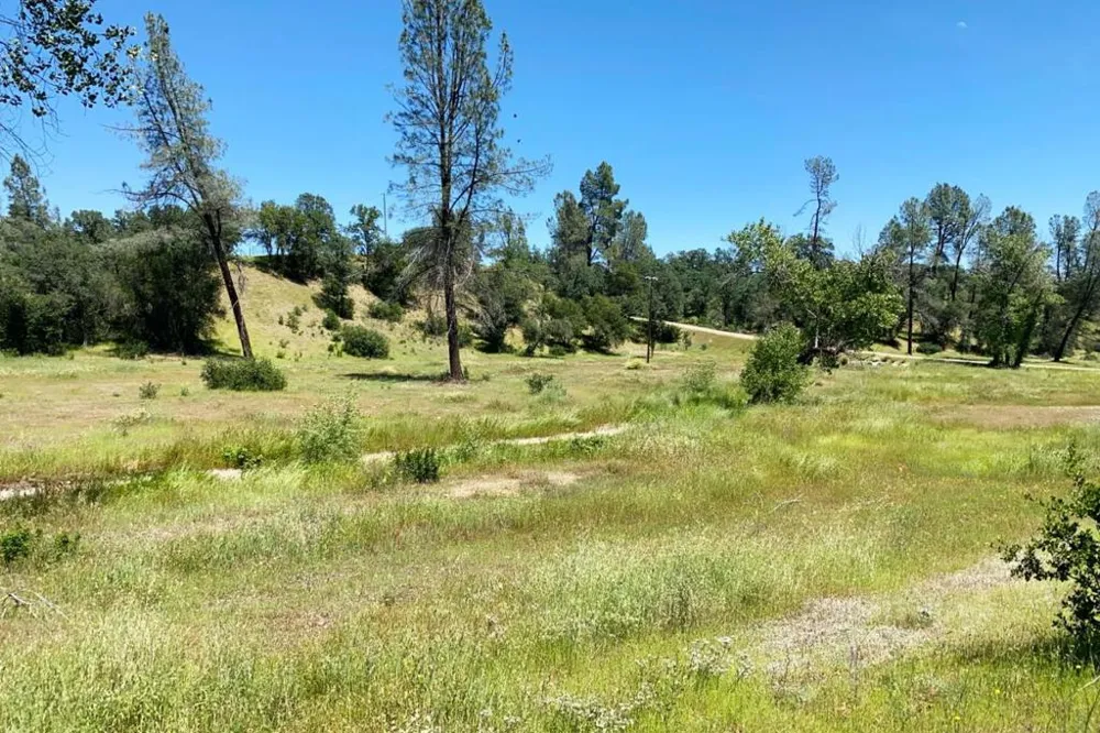 17962 Coyote Lane Anderson, CA 96007