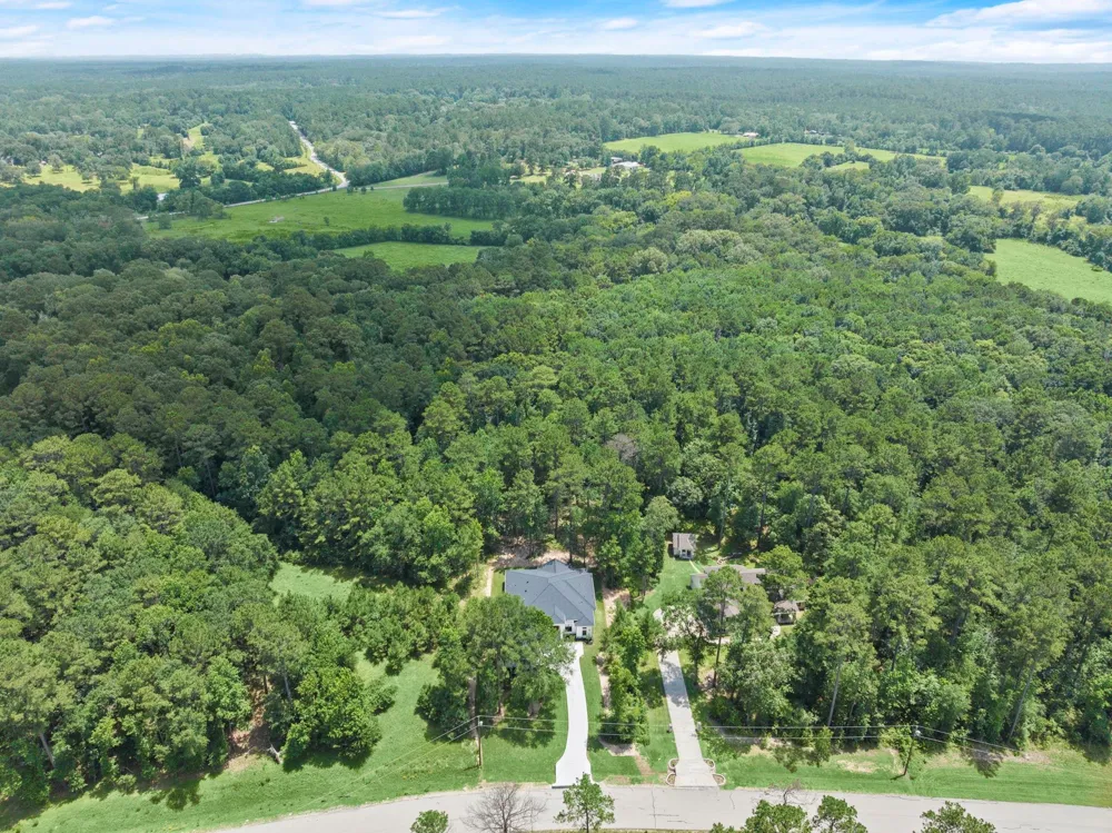 117 Sandpiper Drive New Waverly, TX 77358