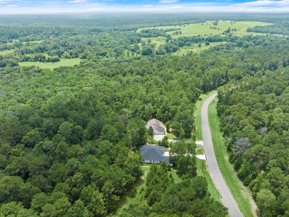 117 Sandpiper Drive New Waverly, TX 77358