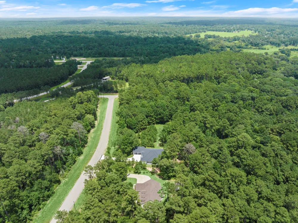 117 Sandpiper Drive New Waverly, TX 77358