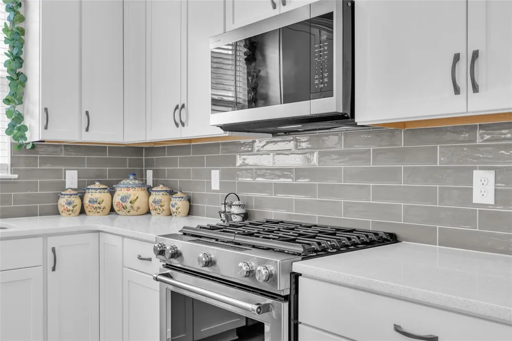 1384 ZESTY CITRUS LANE Minneola, FL 34715