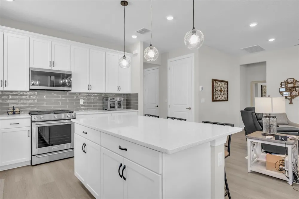 1384 ZESTY CITRUS LANE Minneola, FL 34715