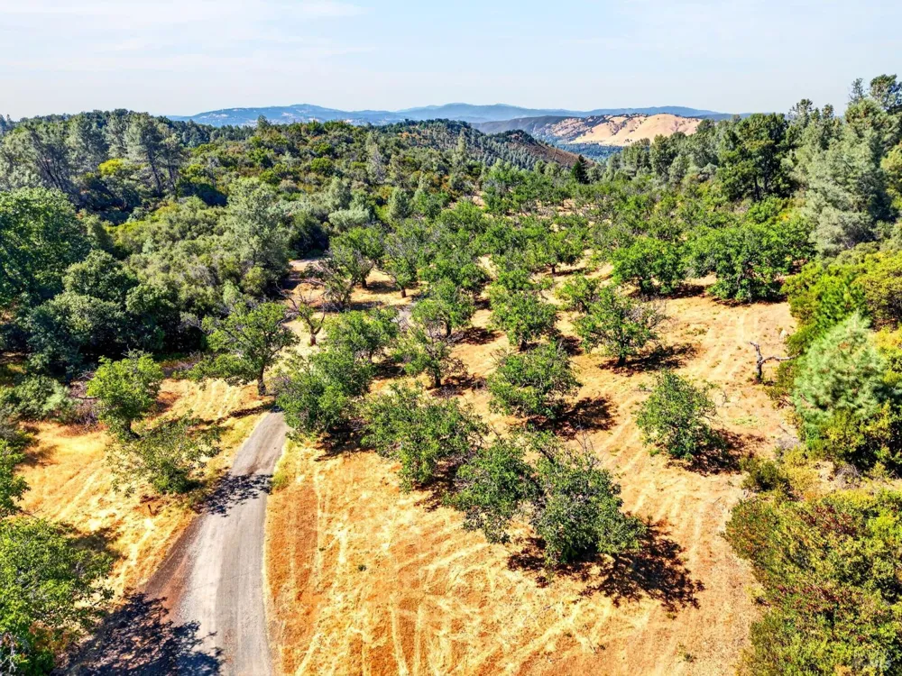 7490 Walnut Lane Lower Lake, CA 95457