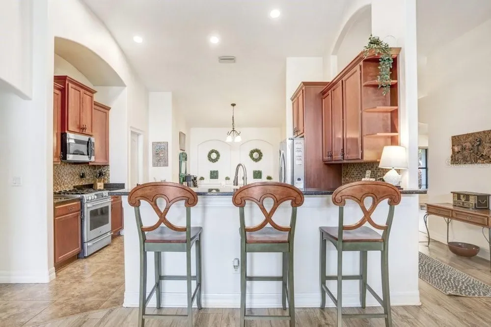 15723 STARLING WATER DRIVE Lithia, FL 33547