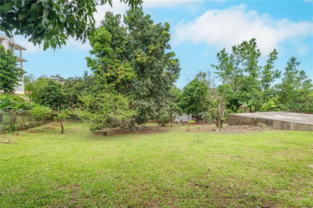 SR 100 k2h7 int Guanajibo PLAN BONITO ST Cabo Rojo, PR 00623