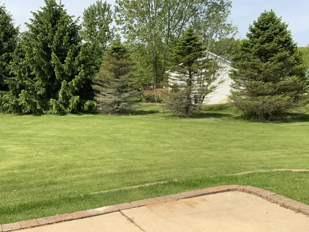 7715 Hidden Knoll Court NE #41 Conway Township, MI 48418