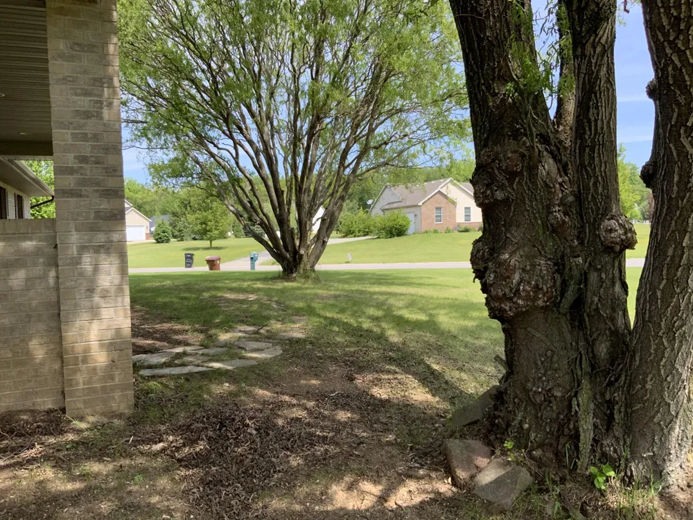 7715 Hidden Knoll Court NE #41 Conway Township, MI 48418
