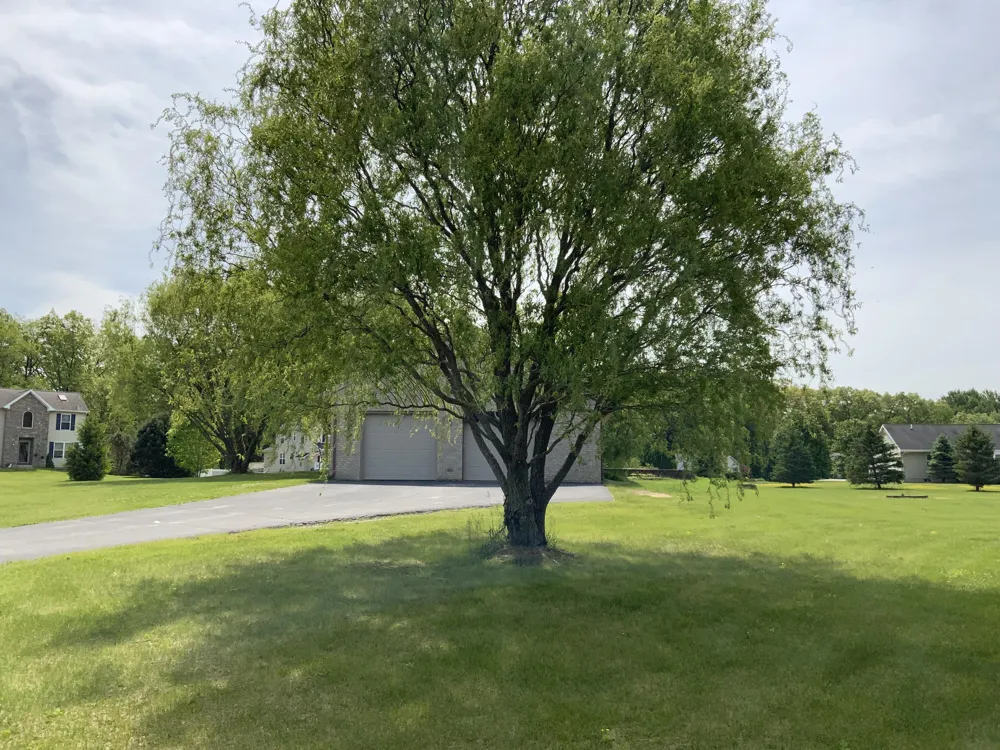 7715 Hidden Knoll Court NE #41 Conway Township, MI 48418