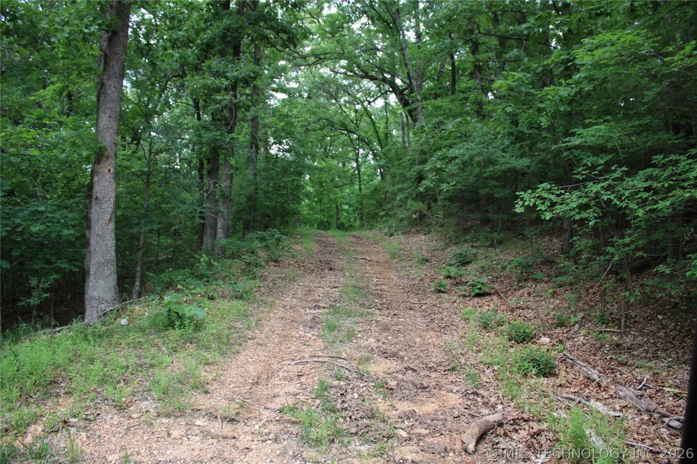 18003 S 650 ROAD Wyandotte, OK 74370
