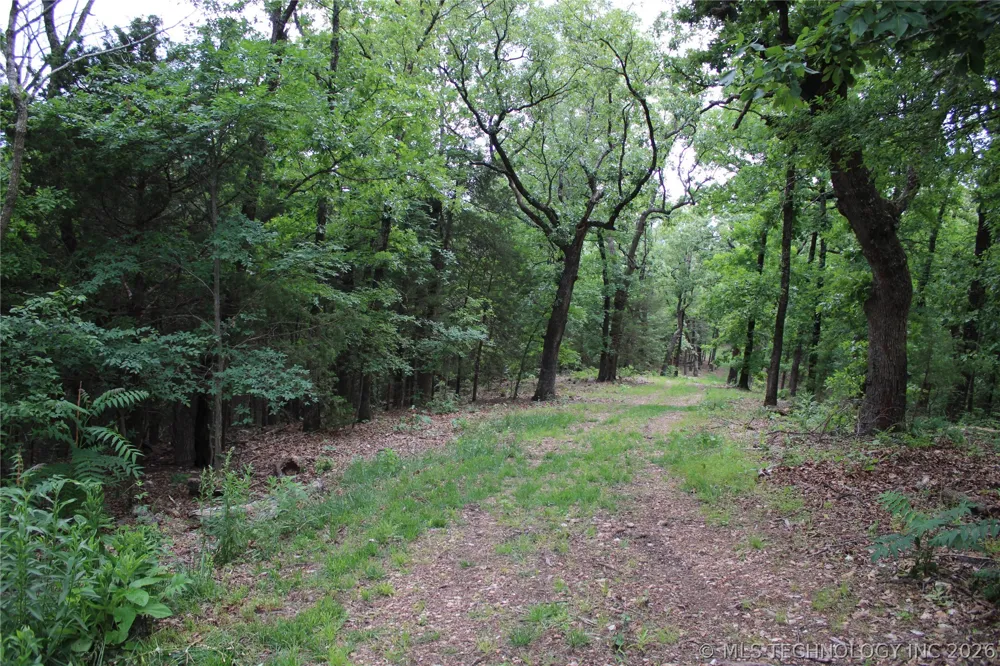 18003 S 650 ROAD Wyandotte, OK 74370