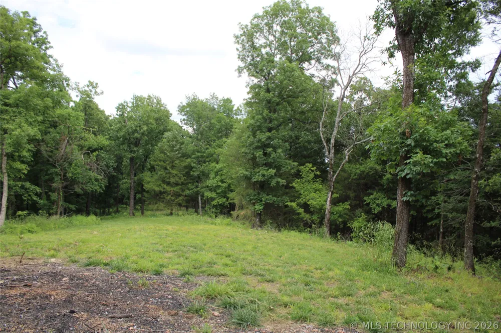 18003 S 650 ROAD Wyandotte, OK 74370
