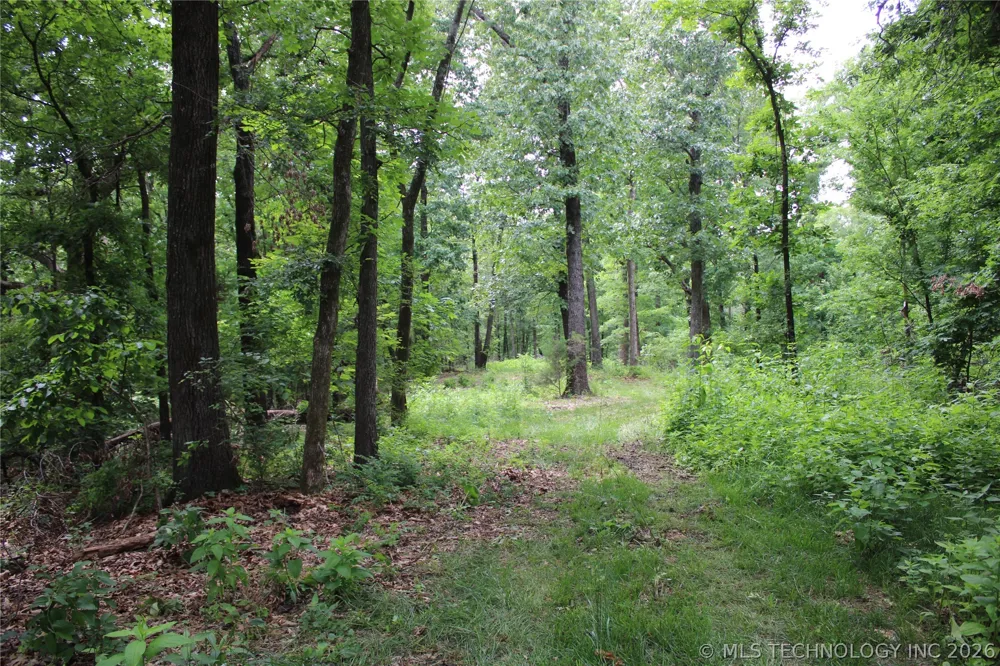 18003 S 650 ROAD Wyandotte, OK 74370