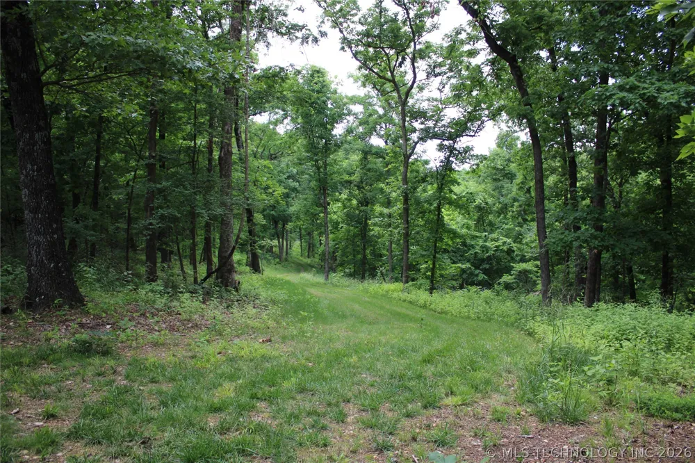 18003 S 650 ROAD Wyandotte, OK 74370