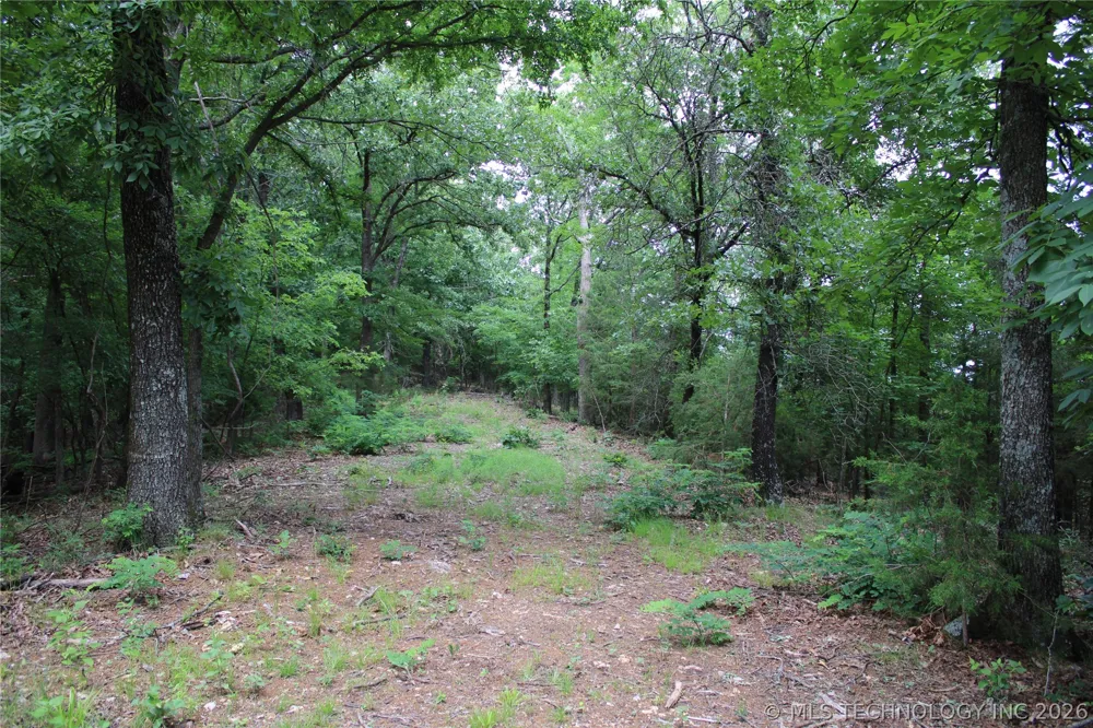 18003 S 650 ROAD Wyandotte, OK 74370