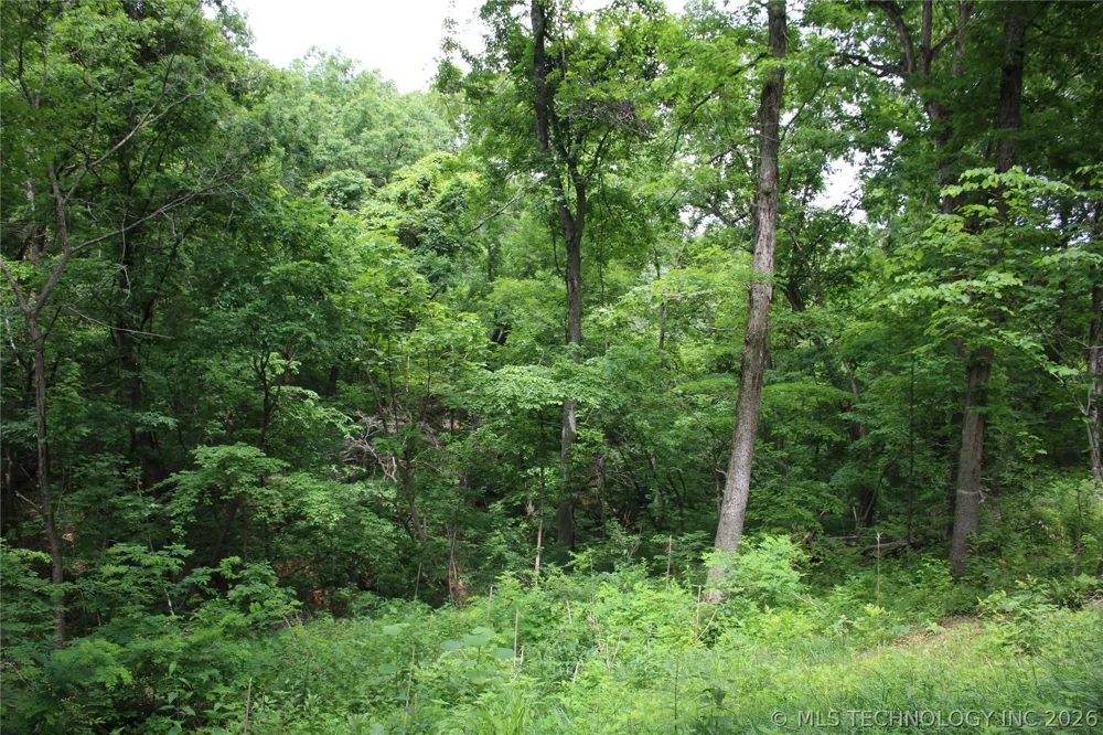 18003 S 650 ROAD Wyandotte, OK 74370