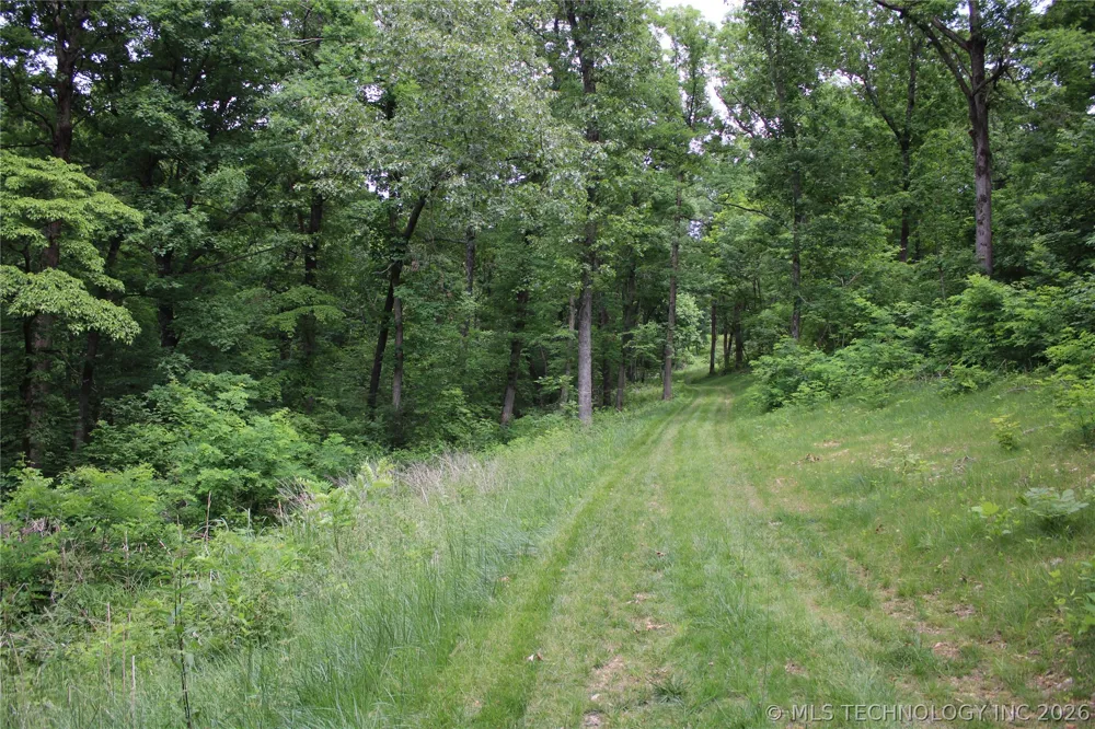 18003 S 650 ROAD Wyandotte, OK 74370