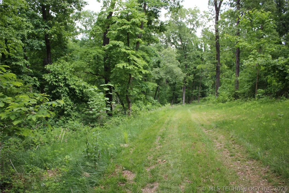 18003 S 650 ROAD Wyandotte, OK 74370
