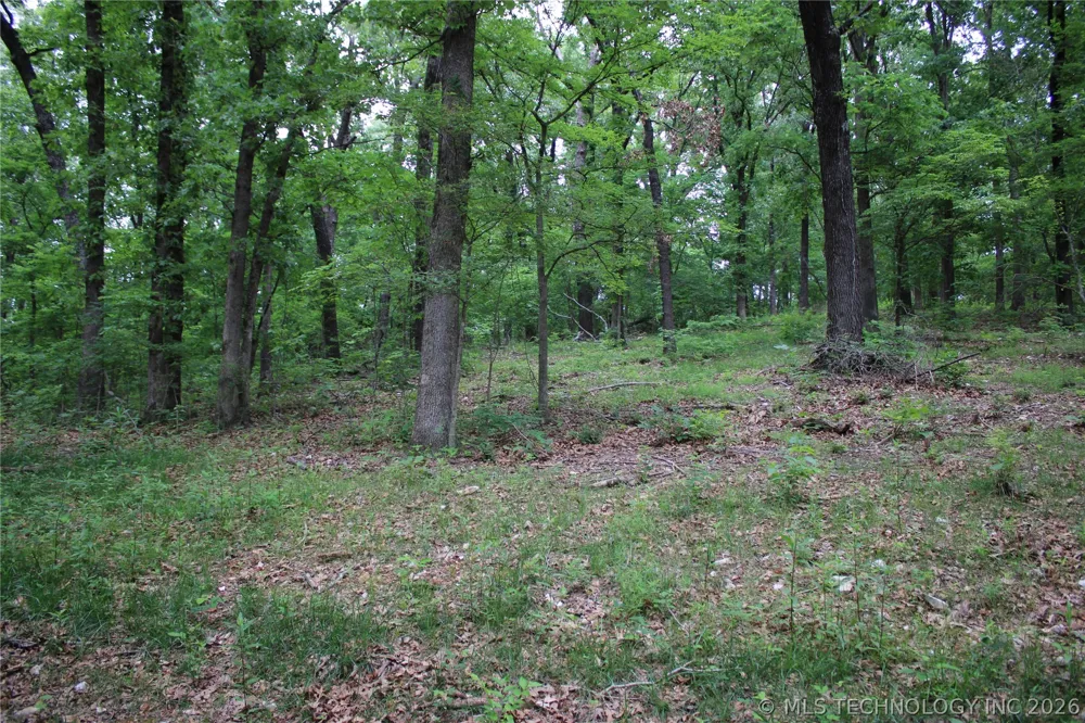 18003 S 650 ROAD Wyandotte, OK 74370