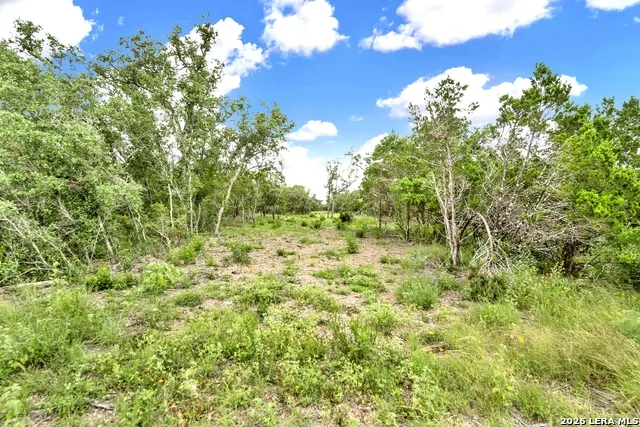 0 FM 1796 Dhanis, TX 78850