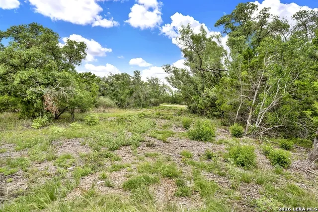 0 FM 1796 Dhanis, TX 78850