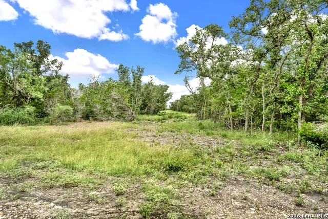 0 FM 1796 Dhanis, TX 78850