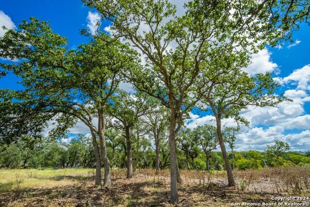 MAVERICK RANCH Lot 37 Ranch Road 783 Harper, TX 78631