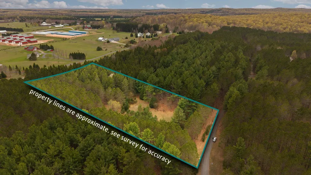 3695 W Timber Lane Kasson Township, MI 49630