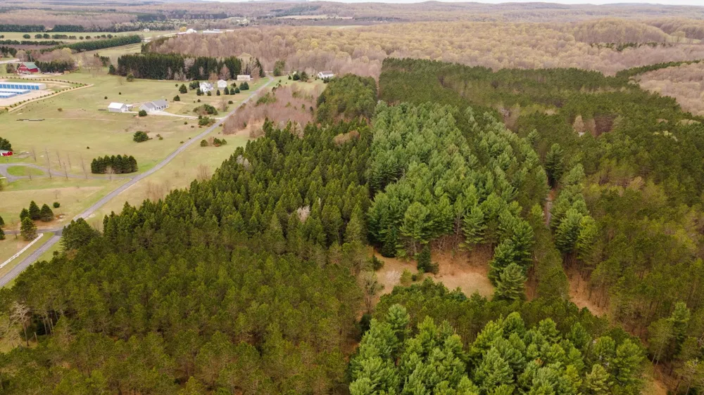 3695 W Timber Lane Kasson Township, MI 49630