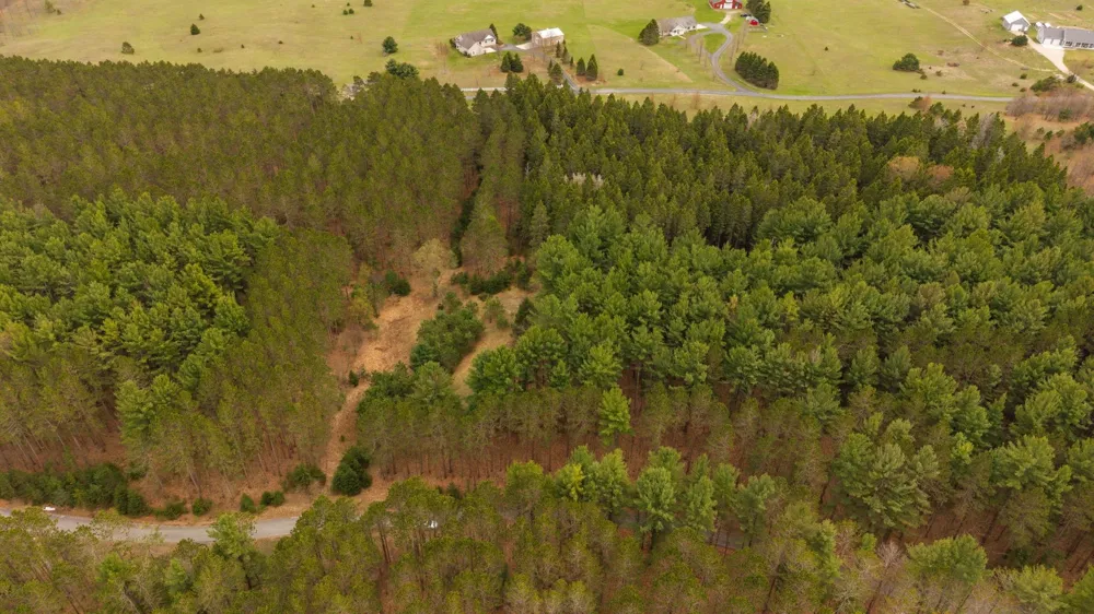 3695 W Timber Lane Kasson Township, MI 49630
