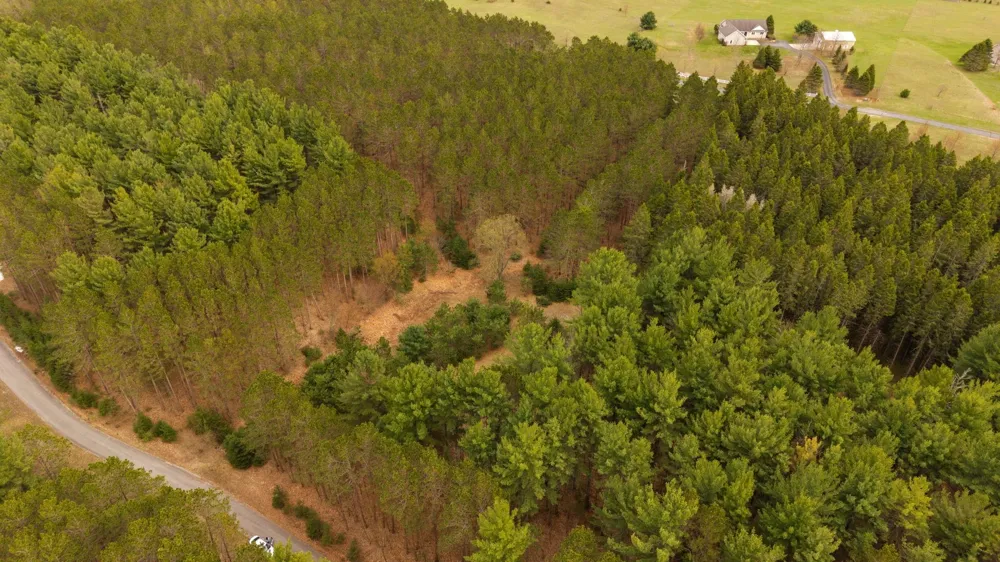 3695 W Timber Lane Kasson Township, MI 49630