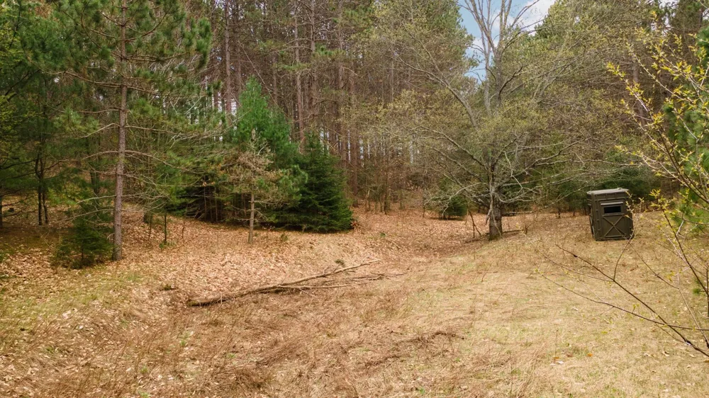3695 W Timber Lane Kasson Township, MI 49630
