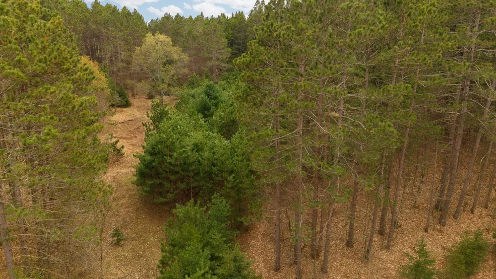 3695 W Timber Lane Kasson Township, MI 49630