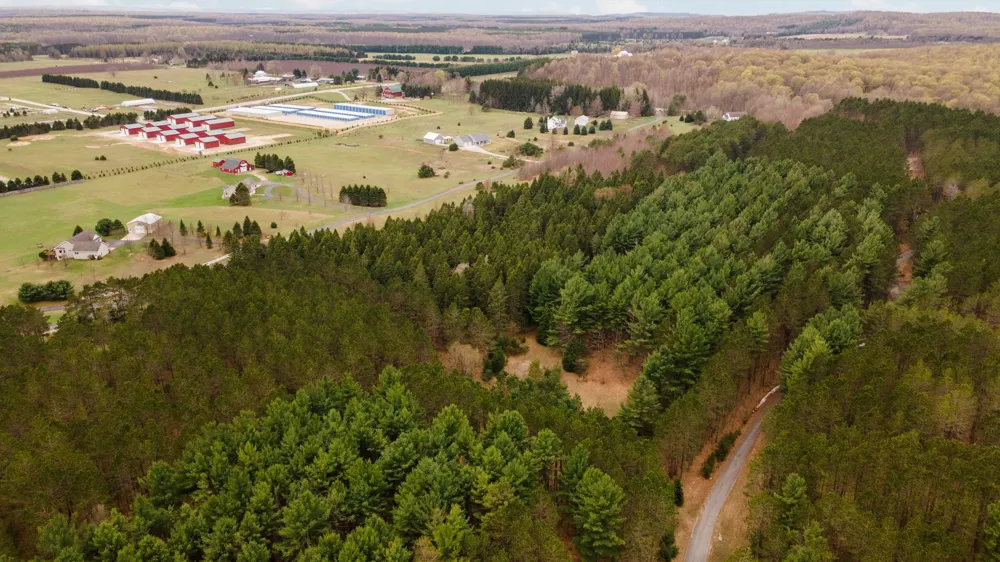3695 W Timber Lane Kasson Township, MI 49630